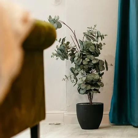 Apartment Blue Camel *