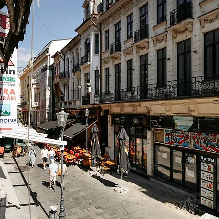 Blue Camel * Bucharest