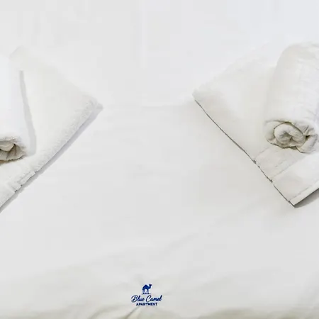 Blue Camel Βουκουρέστι