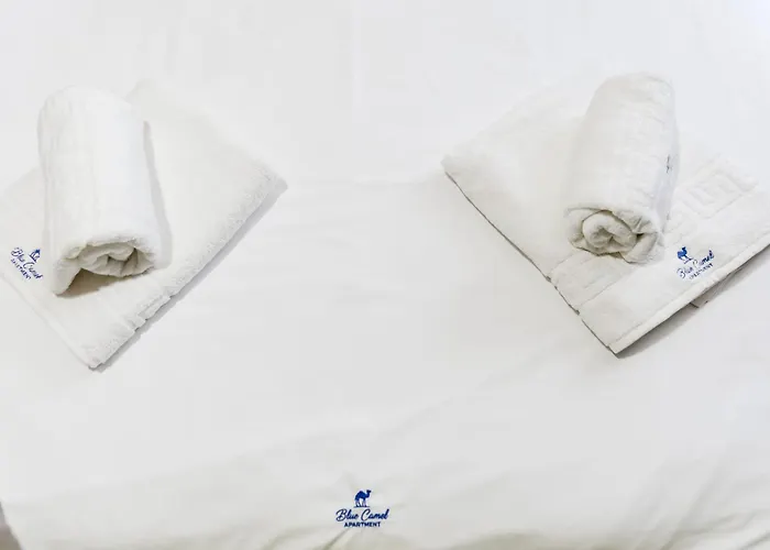 Blue Camel Bucareste