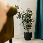 アパート Blue Camel In Old Town *