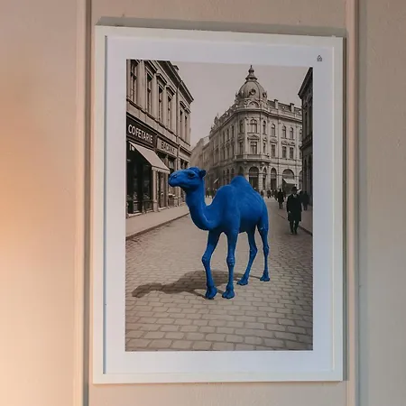 Apartment Blue Camel *