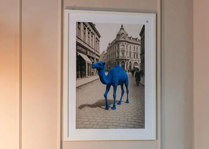 דירה Blue Camel *